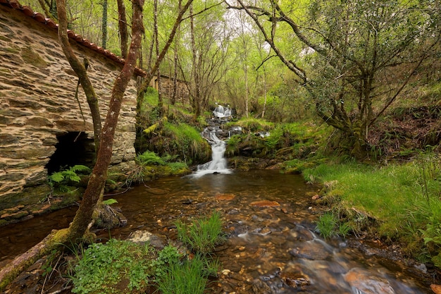 Kleiner Wasserfall neben einer alten Wassermühle im Bereich von Galicien, Spanien.