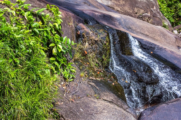 Kleiner Wasserfall und das grüne Blattgras