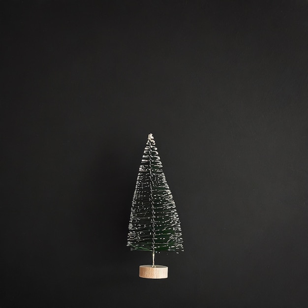 kleiner Weihnachtsbaum auf schwarzem Hintergrund