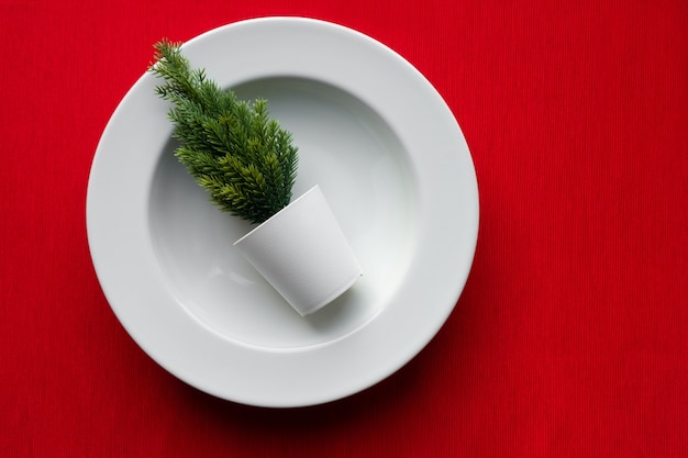 Kleiner Weihnachtsbaum in einer weißen Platte auf einem roten Hintergrund. Neujahrsgerichte.