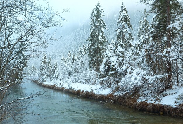 Kleiner Winterbach mit schneebedeckten Bäumen am Ufer.