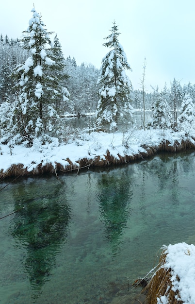 Kleiner Winterbach mit schneebedeckten Bäumen am Ufer.