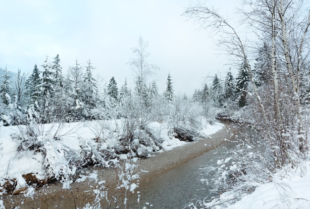 Kleiner Winterbach mit schneebedeckten Bäumen am Ufer.