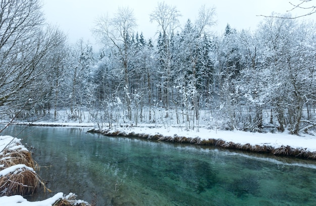 Kleiner Winterbach mit schneebedeckten Bäumen am Ufer.