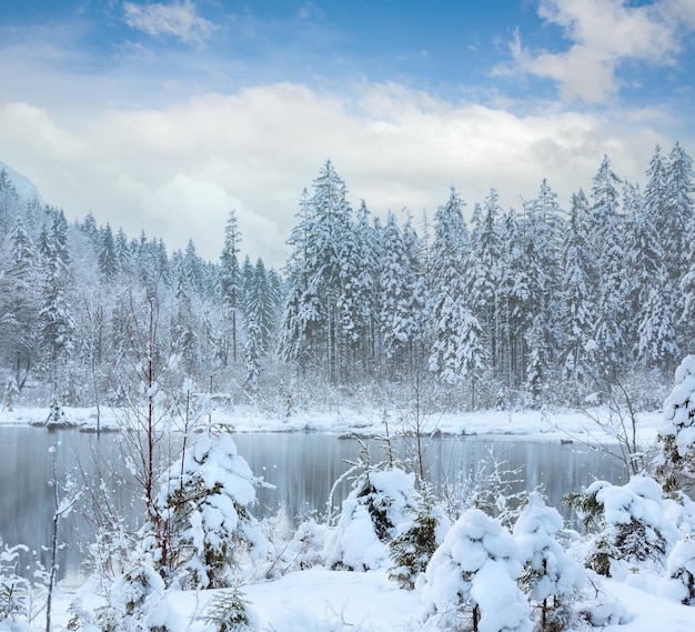 Kleiner Winterbach mit schneebedeckten Bäumen