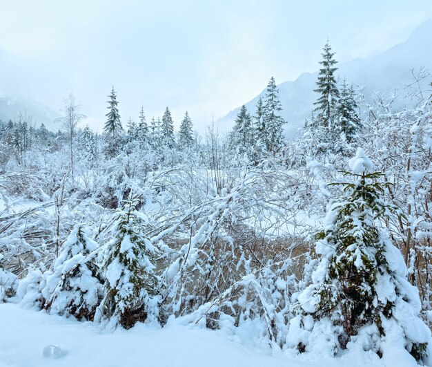 Kleiner Winterstromblick durch Zweige schneebedeckter Bäume am Ufer. Wolkiges Wetter.