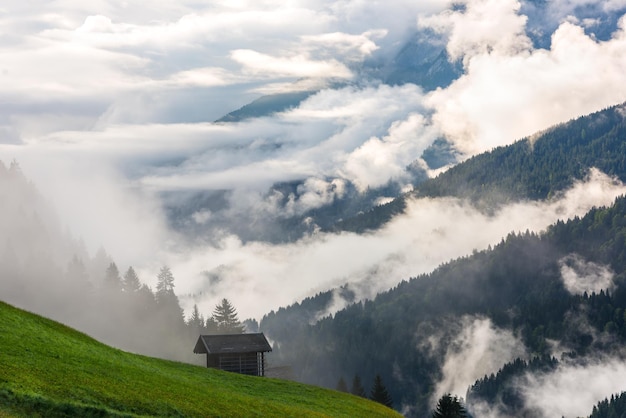 Kleines Alpenhaus in grünen Waldbergen