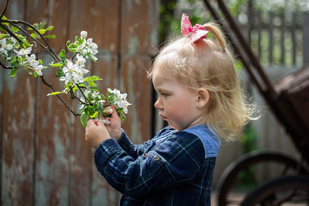 Kleines Baby geht in den Garten und zieht ihre Hand zu einem blühenden Kirschzweig.