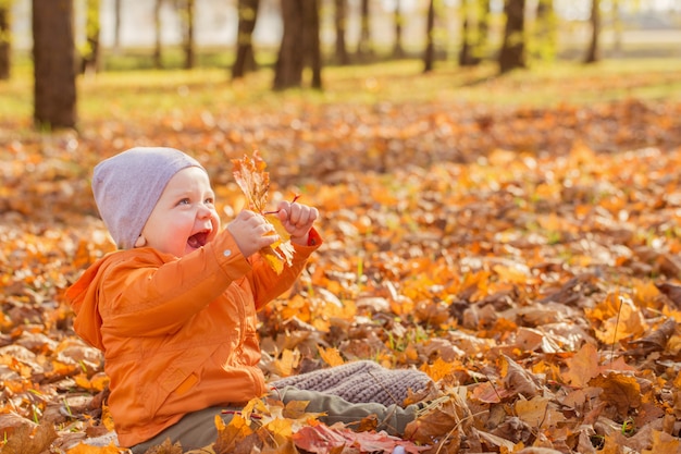 Kleines Baby im sonnigen Herbstpark