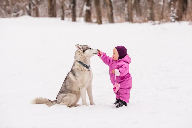 Kleines Baby mit Husky-Hund