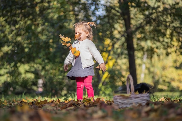 Kleines entzückendes Kleinkindmädchen, das an einem sonnigen Tag in den sengenden Blättern im Herbstpark spielt