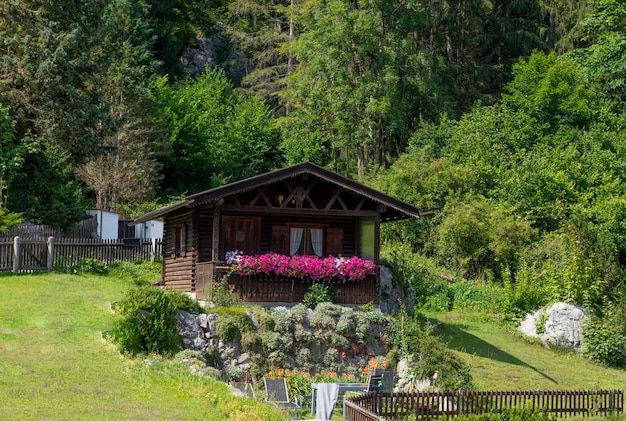 Kleines Ferienhaus aus Holz, umgeben von Natur