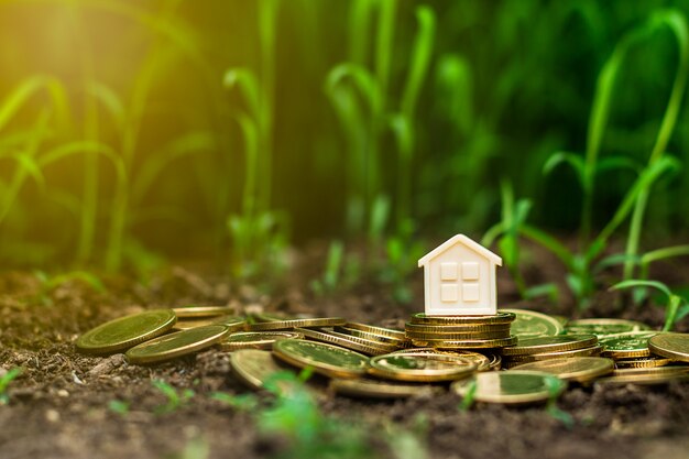 Kleines Haus auf Stapel goldenen Münzen im Garten