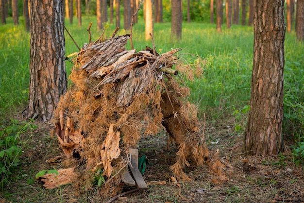 Kleines Haus im Wald aus Tannenzweigen und Holz für Kinder