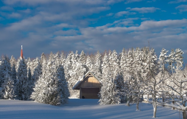 kleines Haus zwischen Wald im Winter