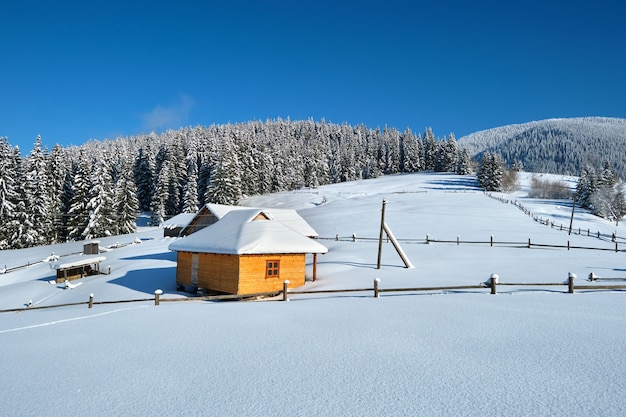 Kleines Holzhaus bedeckt mit frisch gefallenem Schnee, umgeben von hohen Kiefern in den Winterbergen.