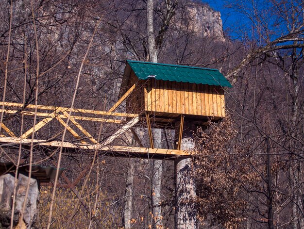 Foto kleines holzhaus im wald