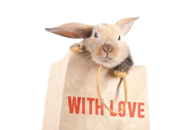 Kleines Kaninchen in einer Papiertüte mit der Aufschrift mit Liebe