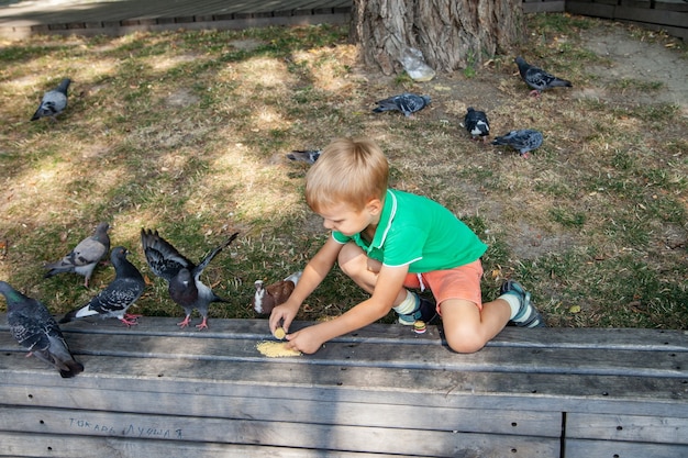 Kleines Kind, das am Sommertag im Park Tauben auf der Straße füttert