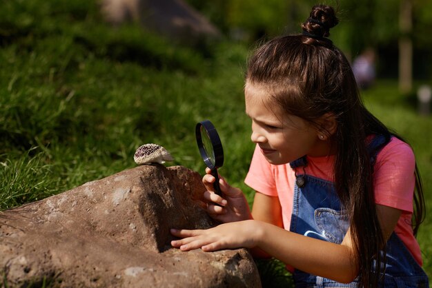 Kleines Kind Mädchen Blick auf Igel mit Lupe im Park