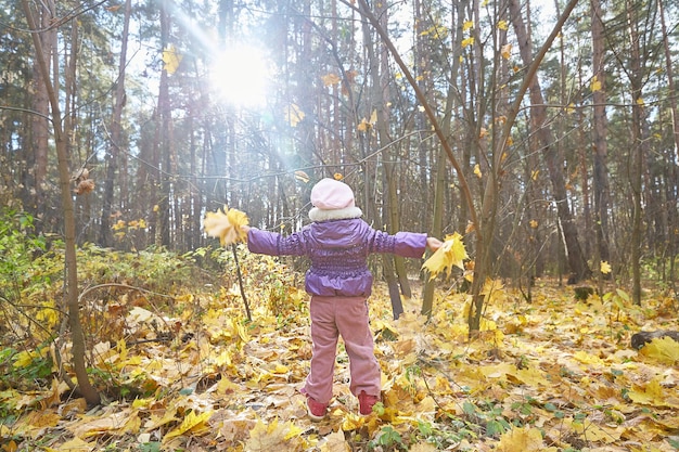 Kleines Kind steht mit dem Rücken zur Kamera in einem sonnigen Herbstwald mit gelben Ahornblättern Menschen im Rücken