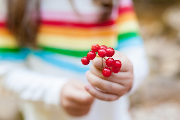 Kleines Kindermädchen, das eine Ebereschenniederlassung in ihren Händen hält. Fokus auf den Vordergrund. Saisonale Herbstbeeren