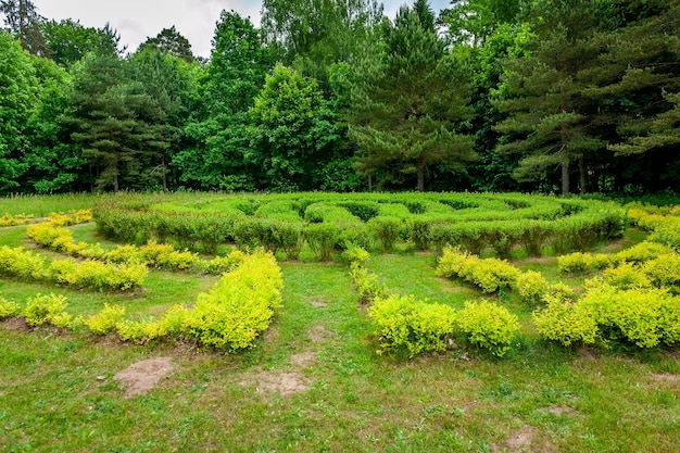 Kleines Labyrinth aus kleinen Büschen auf der Wiese Naturlehrpfad Kazdanga-Park Lettland Ostsee