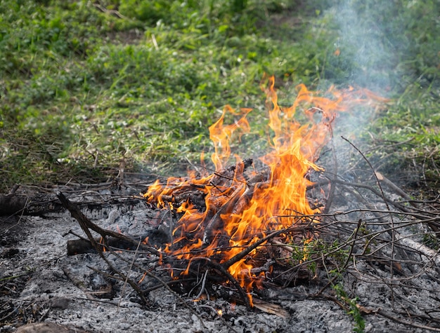 Kleines Lagerfeuer tagsüber beim Campingausflug