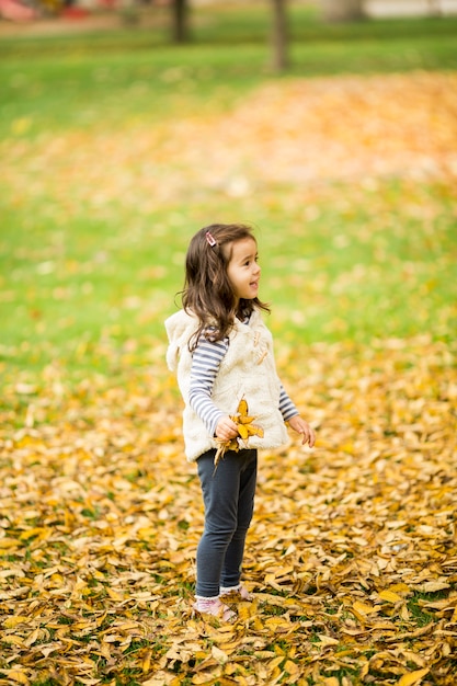 Kleines Mädchen am Herbstpark