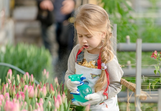 Kleines Mädchen besprüht im Frühjahr Wassertulpen in einem Gewächshaus.