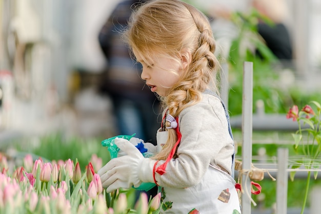 Kleines Mädchen besprüht im Frühjahr Wassertulpen in einem Gewächshaus.