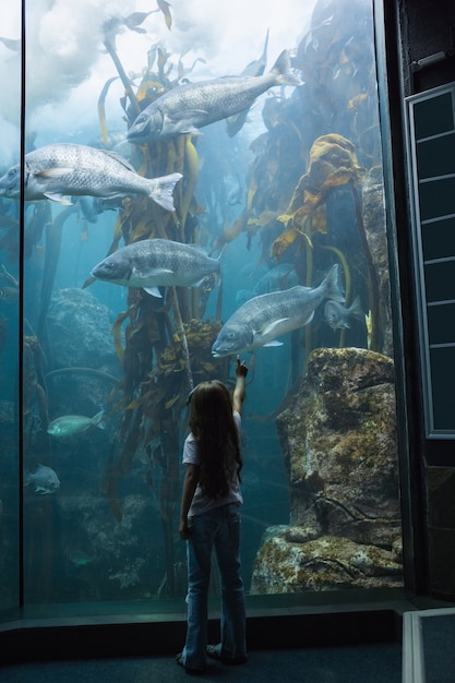 Kleines Mädchen, das Aquarium betrachtet