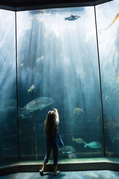 Kleines Mädchen, das Aquarium betrachtet