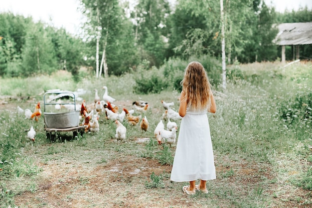 kleines Mädchen, das Hühner auf Bauernhof füttert