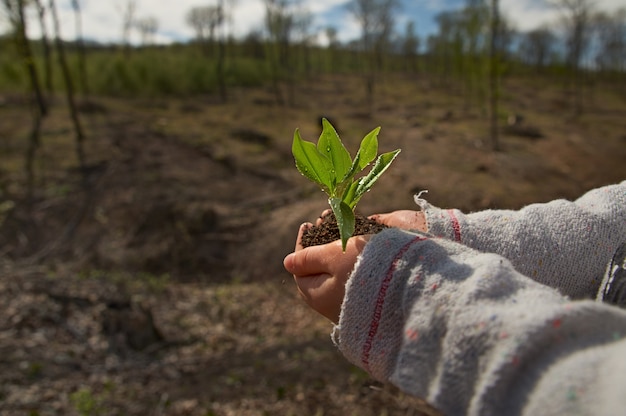 Kleines Mädchen, das jungen Baum pflanzt, Konzept retten Welt. junge Pflanze in Händen im Freien. Ökologiekonzept