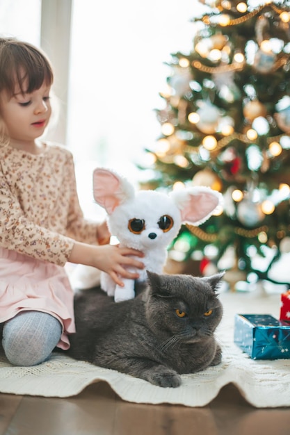 Kleines Mädchen, das mit grauer britischer Katze spielt