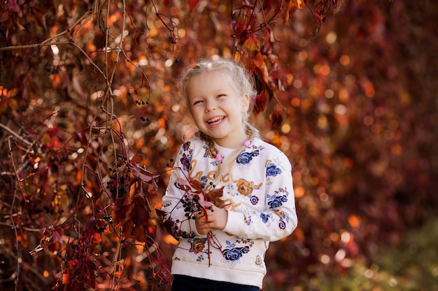 kleines Mädchen geht in den Herbstwald