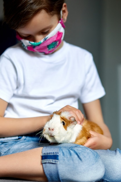 Kleines Mädchen in der Maske, die mit rotem Meerschweinchen spielt, Meerschweinchen zu Hause am Sofa, während in Quarantäne.