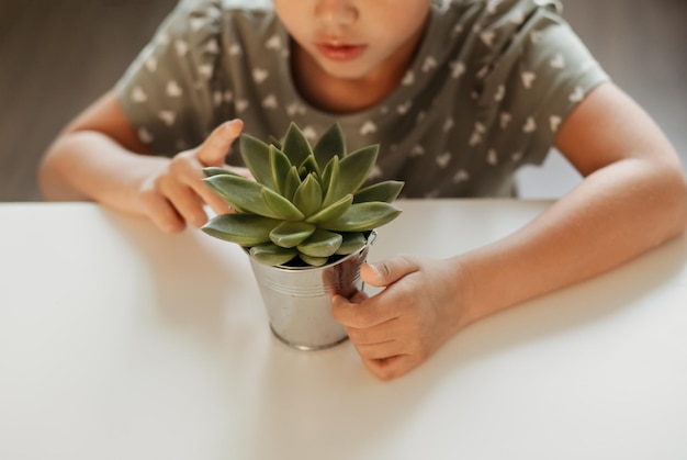 kleines Mädchen in einem Raum mit einer saftigen Blume