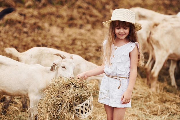 Kleines Mädchen in weißer Kleidung ist im Sommer im Freien mit Ziegen auf dem Bauernhof