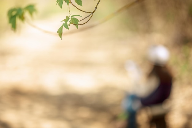 Kleines Mädchen malt im Frühling im Freien und blüht