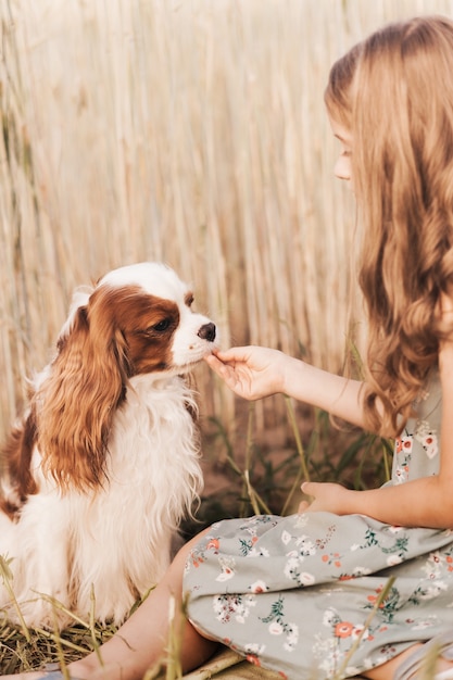 Kleines Mädchen mit einem Cavalier King Charles Spaniel Hund, der im Sommer in der Natur spielt
