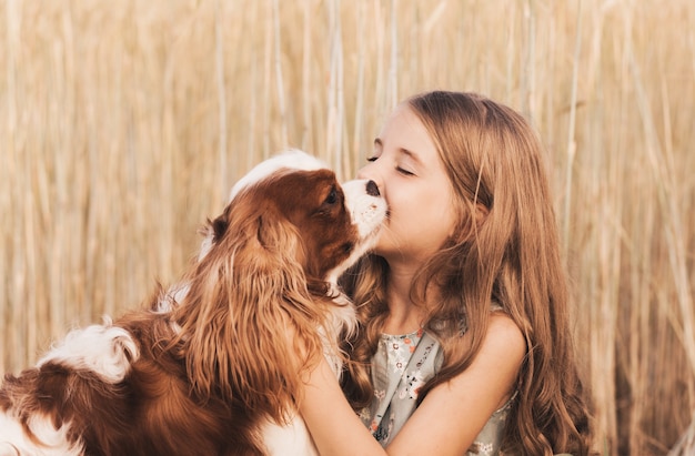 Kleines Mädchen mit einem Cavalier King Charles Spaniel Hund, der im Sommer in der Natur spielt