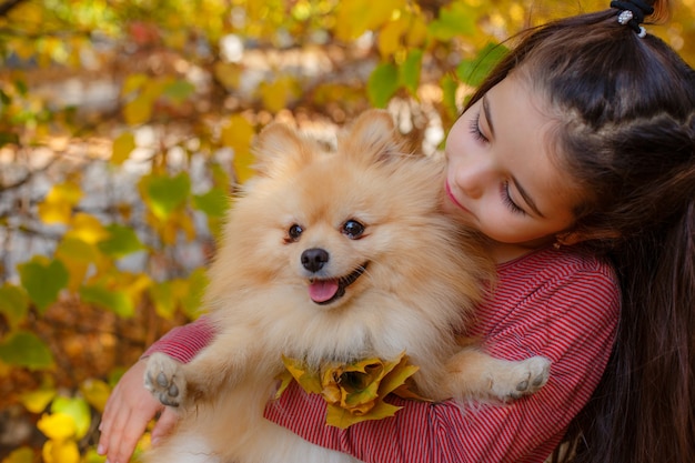 Kleines Mädchen mit einem Hund im Herbst im Park für einen Spaziergang