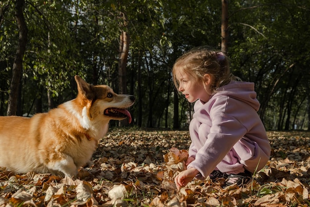 Kleines Mädchen mit freundlichem walisischen Pembroke-Corgi-Welpen, der Spaß daran hat, in der Nähe des Hauses in Ihrem Haus zu spielen