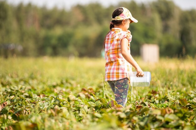 kleines Mädchen pflückt Erdbeeren auf dem Feld