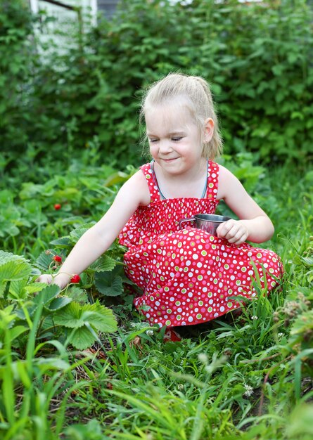 Kleines Mädchen sammelt Erdbeeren