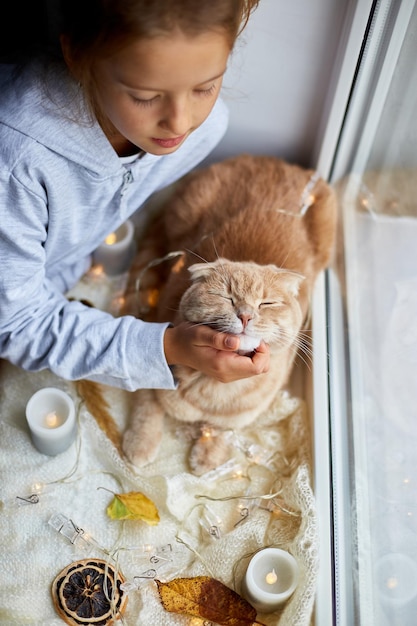 Kleines Mädchen spielt mit Hauskatze, die zu Hause auf der Fensterbank liegt