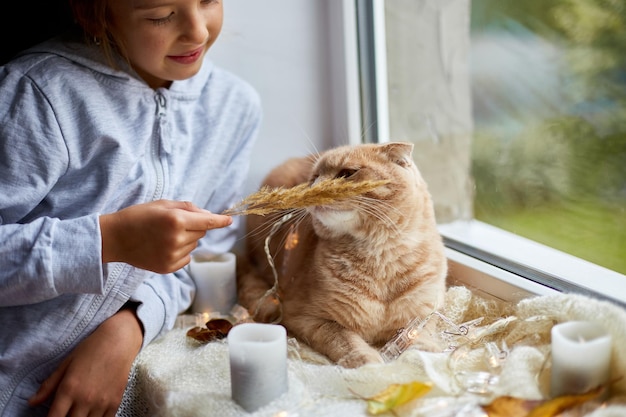 Kleines Mädchen spielt mit Hauskatze, die zu Hause auf der Fensterbank liegt