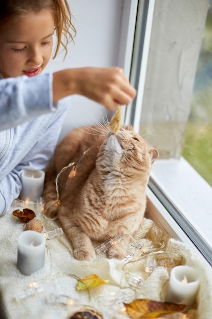 Kleines Mädchen spielt mit Hauskatze, die zu Hause auf der Fensterbank liegt